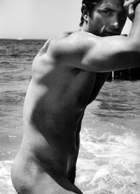 Dieux du stade 2 ; le retour.....