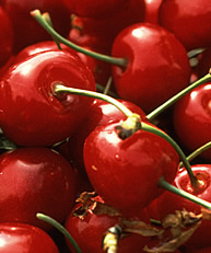 hummmmm les cerises !!!